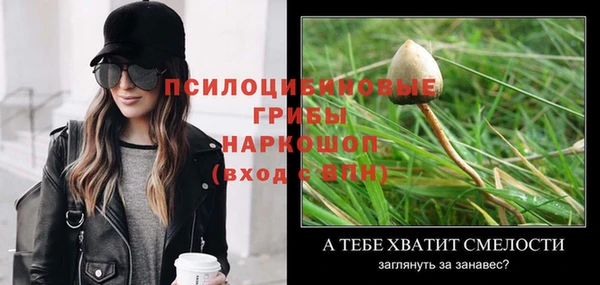 спиды Баксан